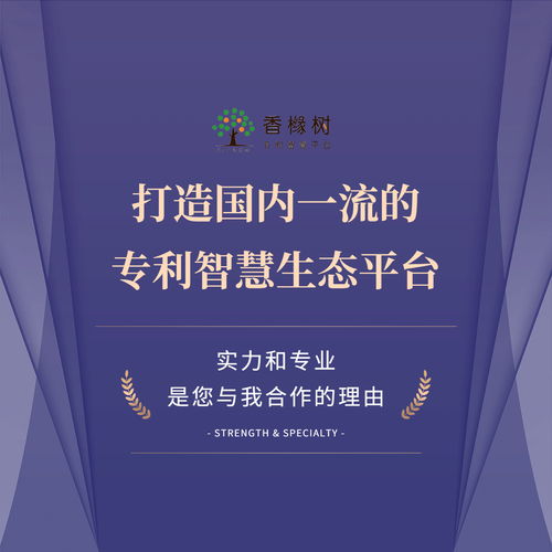 智航科泰攜手香櫞樹(shù) 知識(shí)產(chǎn)權(quán)領(lǐng)域?yàn)楹吻嗖A專業(yè)信息技術(shù)咨詢服務(wù)